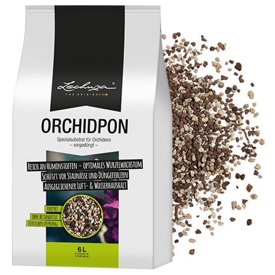 Learn more about ORCHIDPON