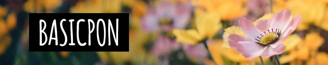 'Sous-rubrique BASICPON