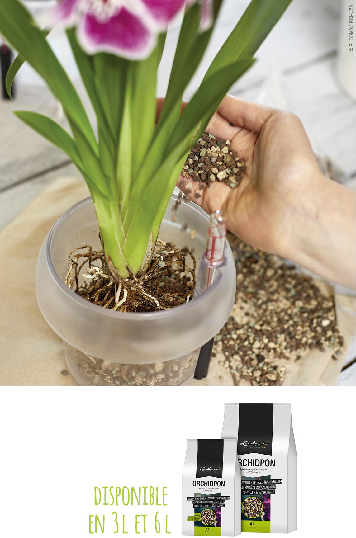 ORCHIDPON: disponible en 3 l et 6 l