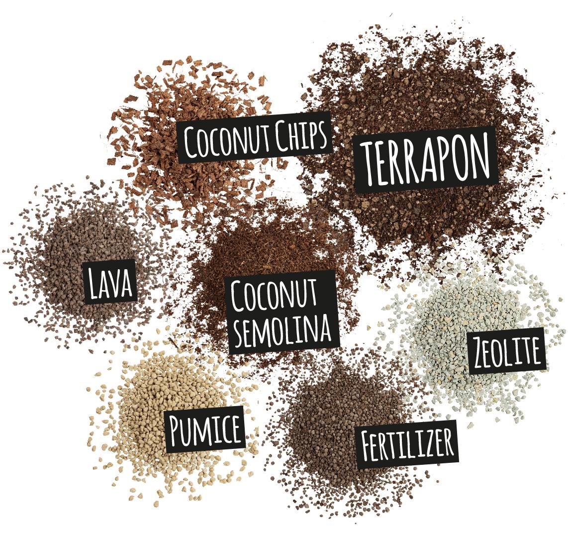 'Components of TERRAPON: coconut chips