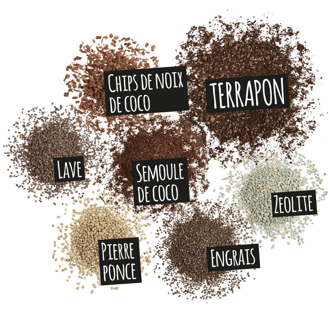 'Composantes de TERRAPON: Chips de noix de coco