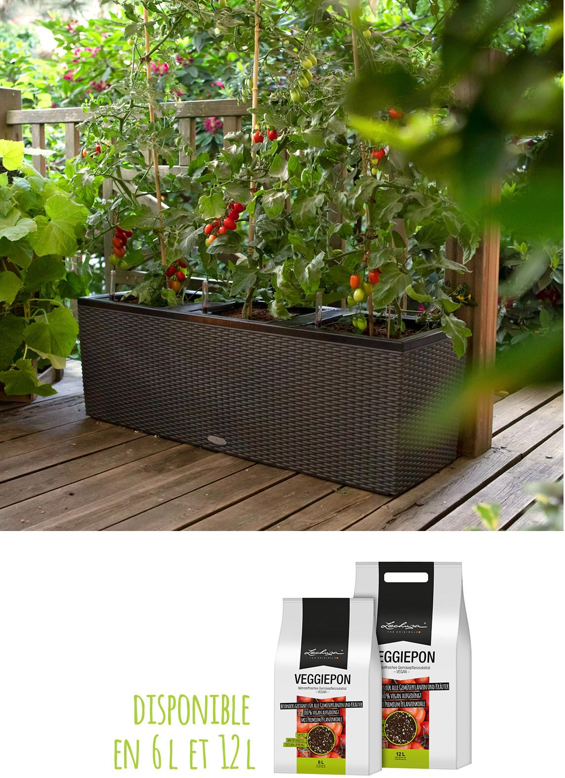 VEGGIEPON: disponible en 6 l et 12 l