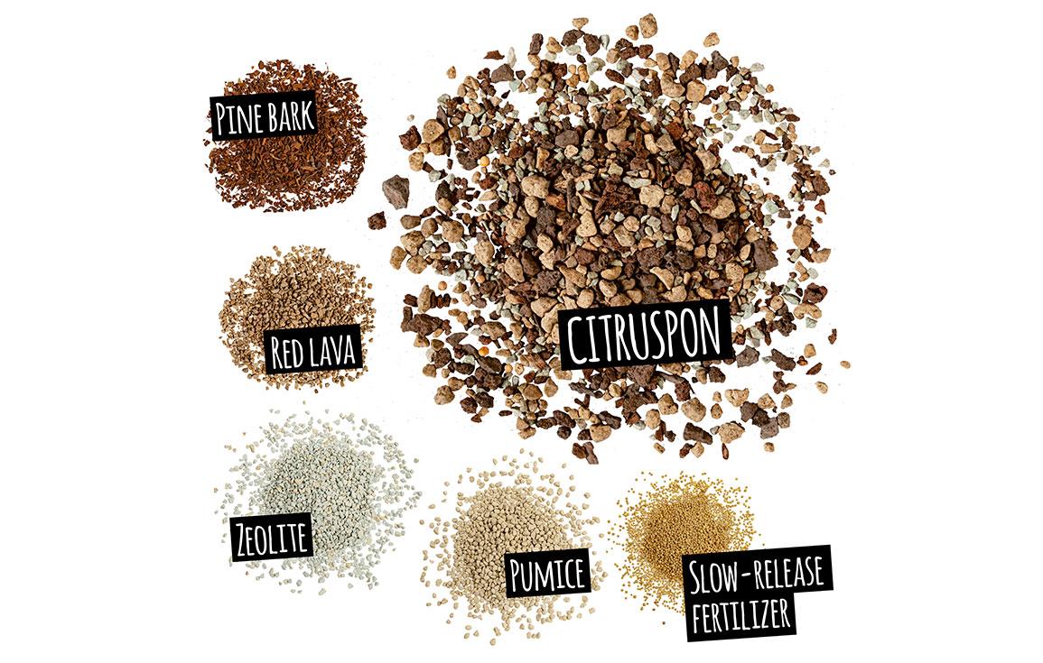 CITRUSPON: Components