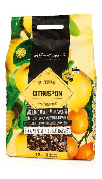 CITRUSPON