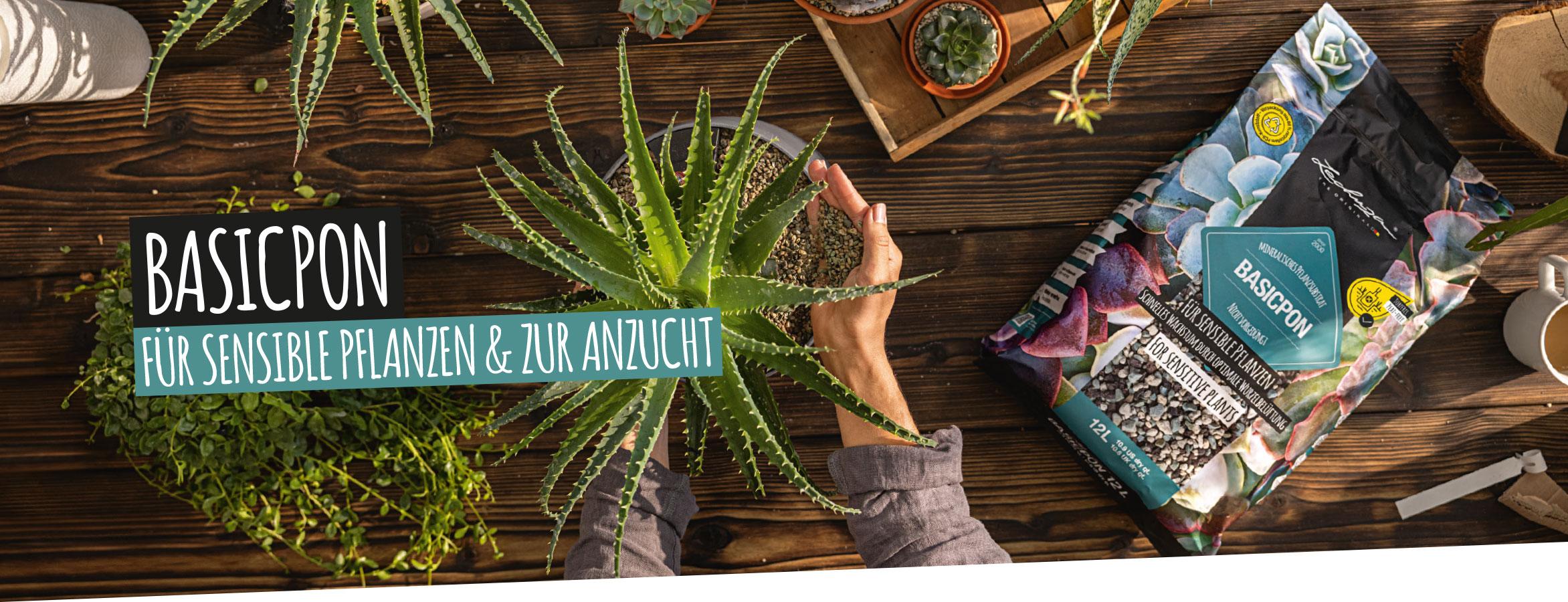 BASICPON: F&uuml;r sensible Pflanzen und zur Anzucht