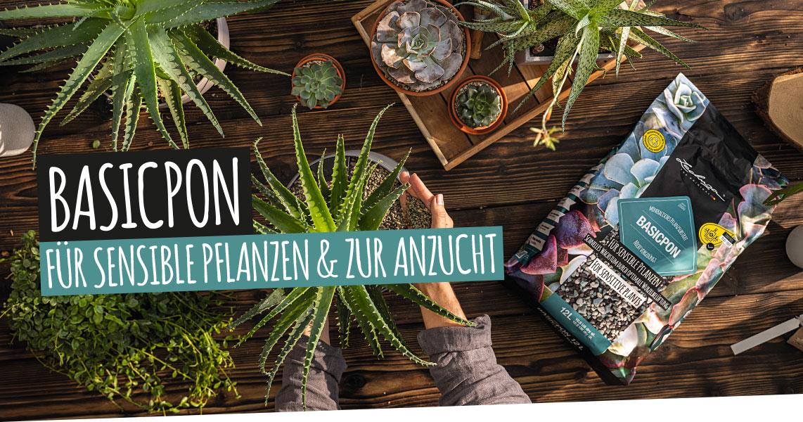 BASICPON: F&uuml;r sensible Pflanzen und zur Anzucht