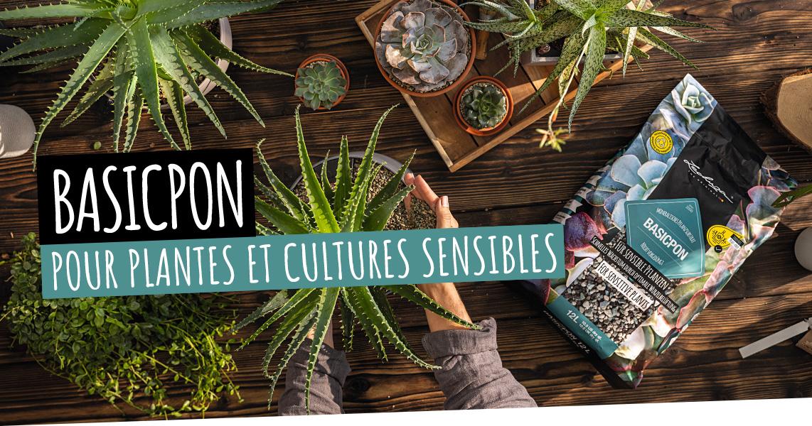 BASICPON: Pour plantes et cultures sensibles
