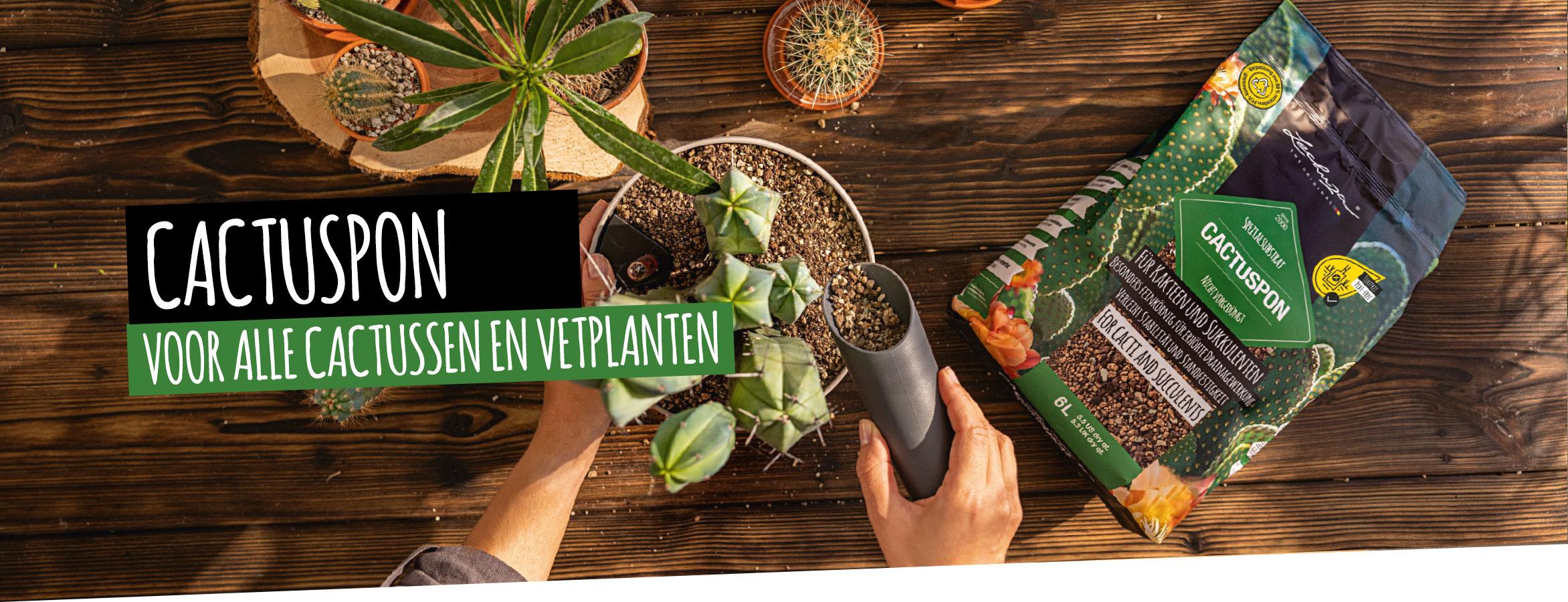 CACTUSPON: Voor alle cactussen en vetplanten