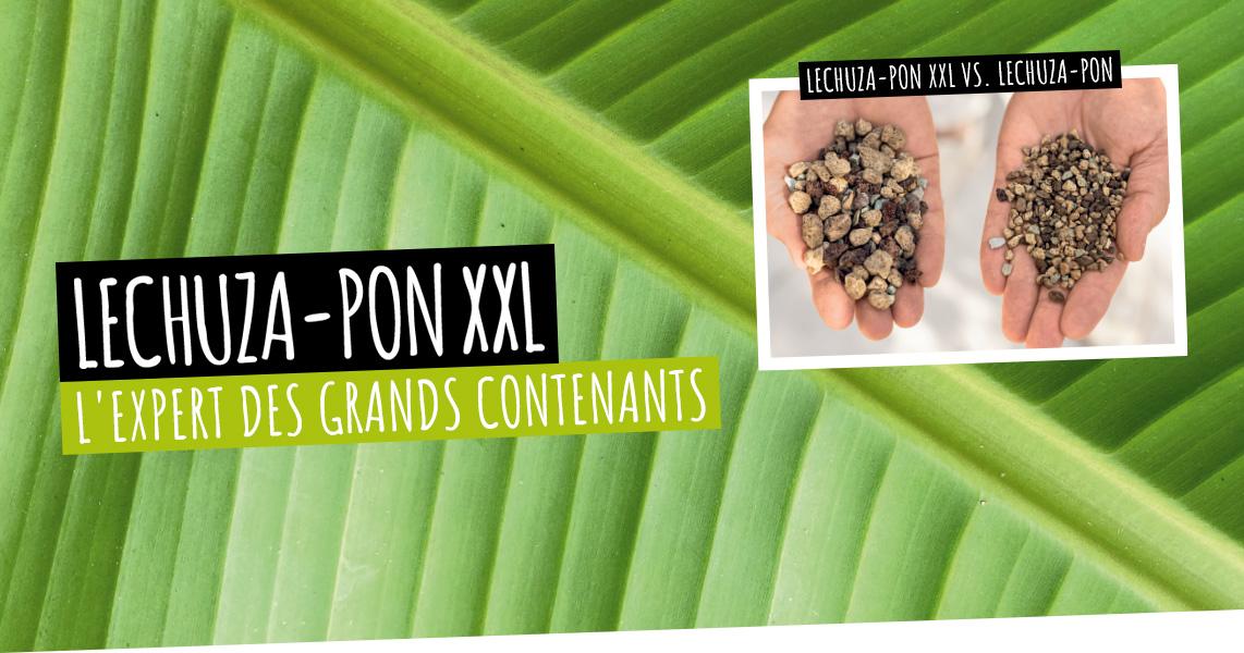 LECHUZA-PON XXL: L'expert des grands contenants