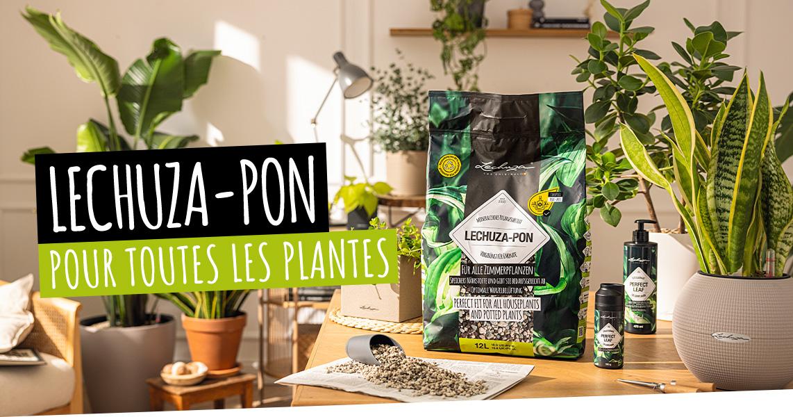 LECHUZA-PON Pour toutes les plantes d'int&eacute;rieur