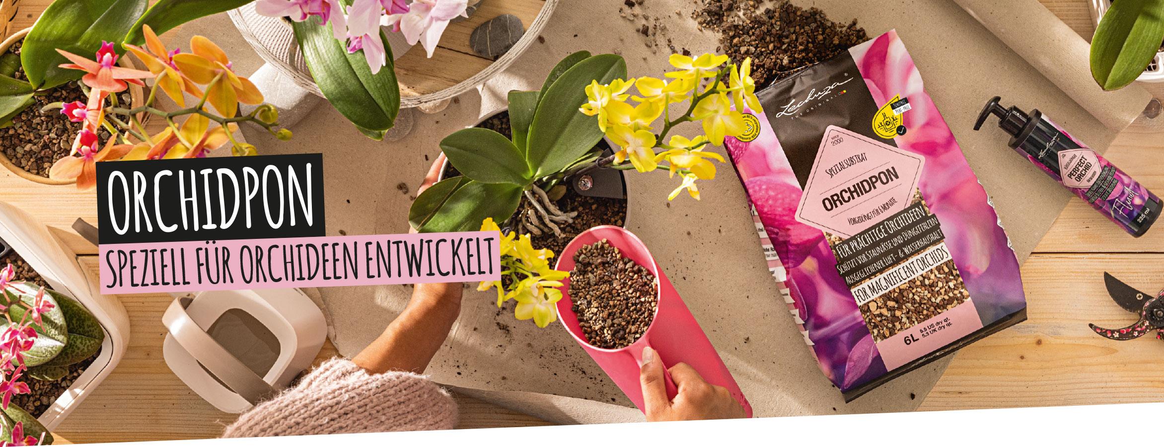 ORCHIDPON: Speziell f&uuml;r Orchideen entwickelt