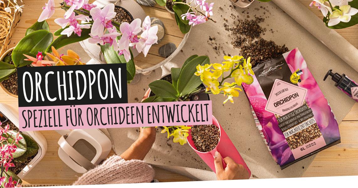 ORCHIDPON: Speziell f&uuml;r Orchideen entwickelt