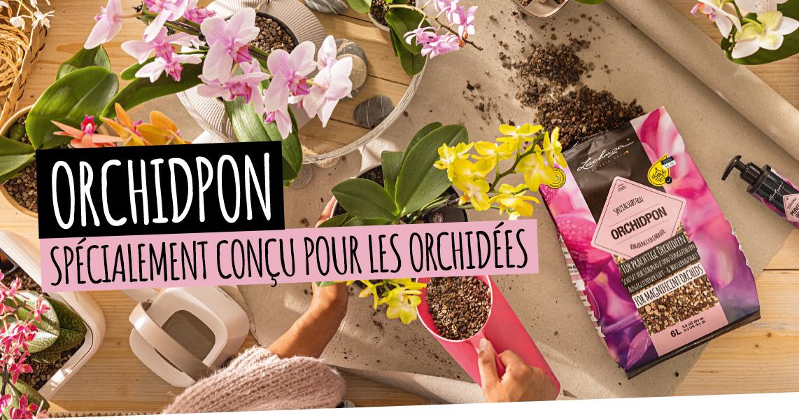 ORCHIDPON: Sp&eacute;cialement con&ccedil;u pour les orchid&eacute;es