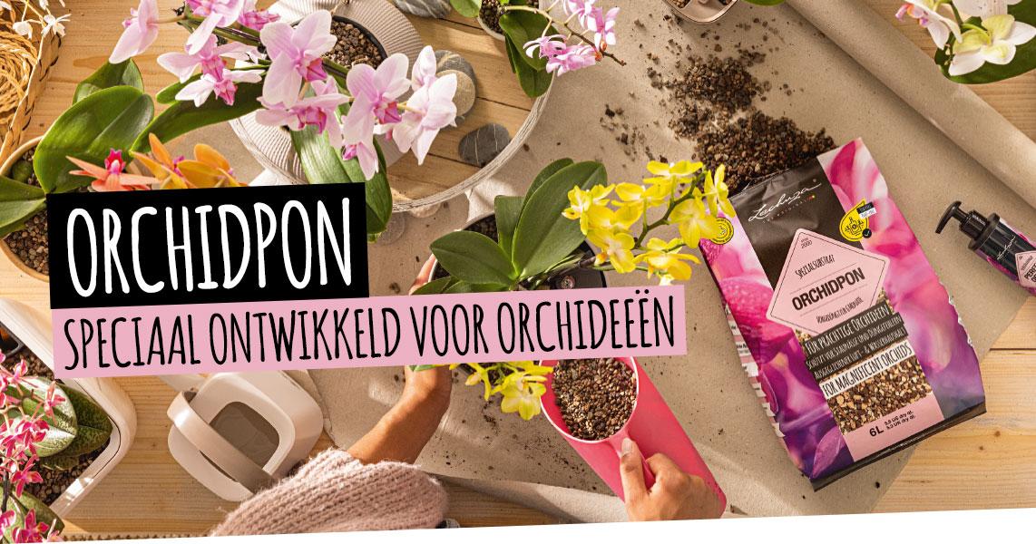 ORCHIDPON: Speciaal ontwikkeld voor orchideeën
