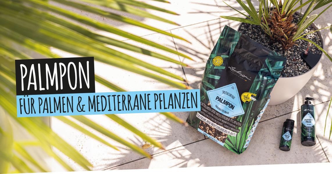 PALMPON: F&uuml;r Palmen und mediterrane Pflanzen