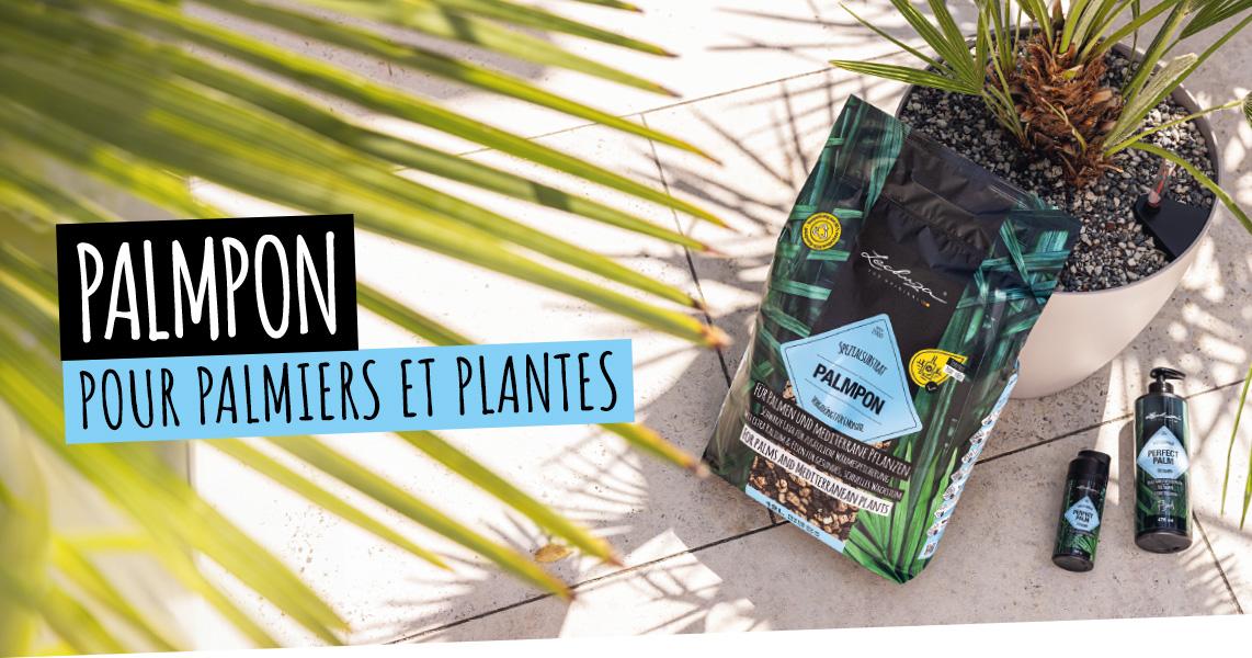 PALMPON: Pour les palmiers et les plantes m&eacute;diterran&eacute;ennes