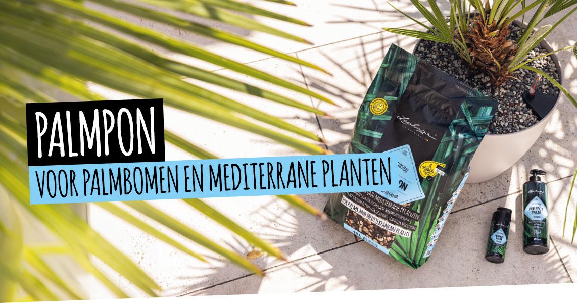 PALMPON: Voor palmbomen en mediterrane planten