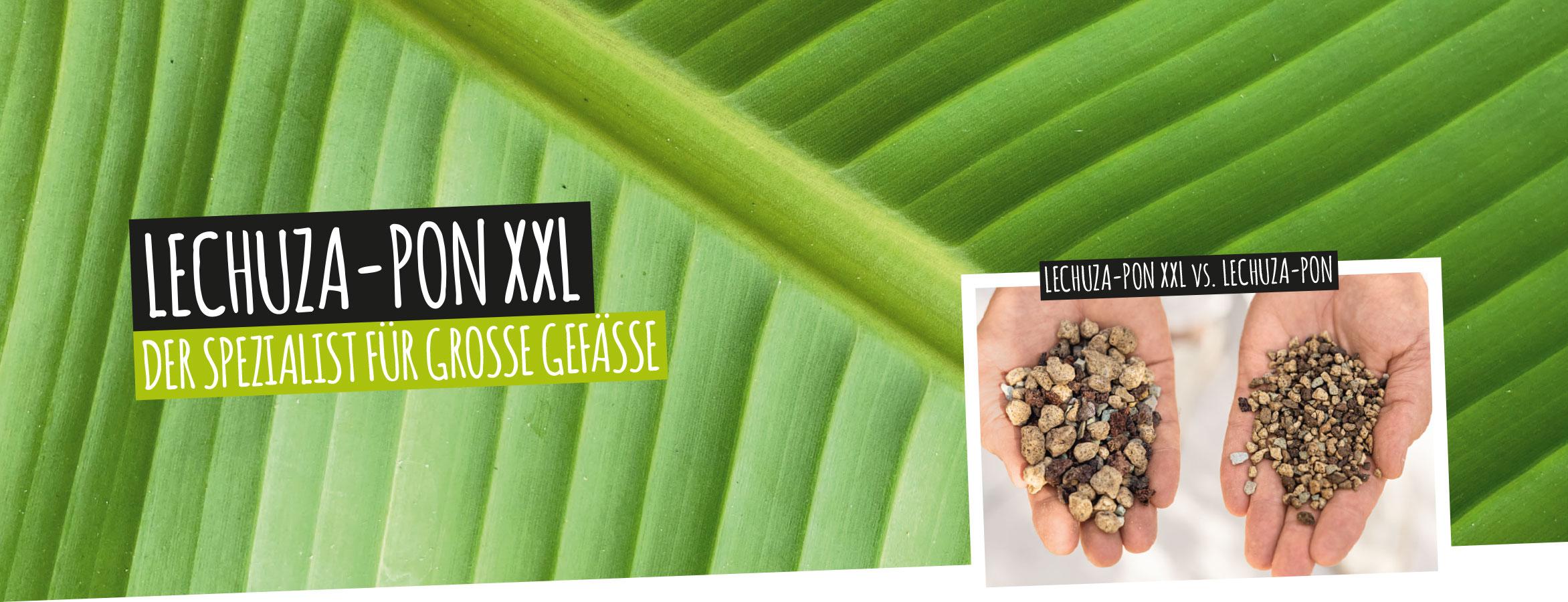 LECHUZA-PON XXL: Der Spezialist f&uuml;r gro&szlig;e Gef&auml;&szlig;e