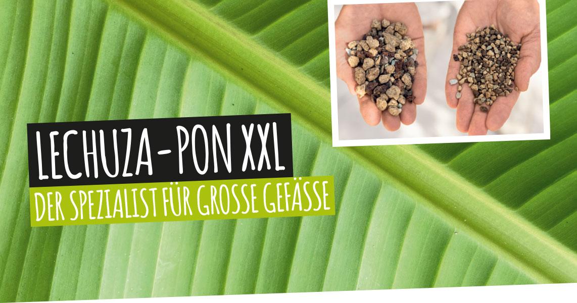 LECHUZA-PON XXL: Der Spezialist f&uuml;r gro&szlig;e Gef&auml;&szlig;e