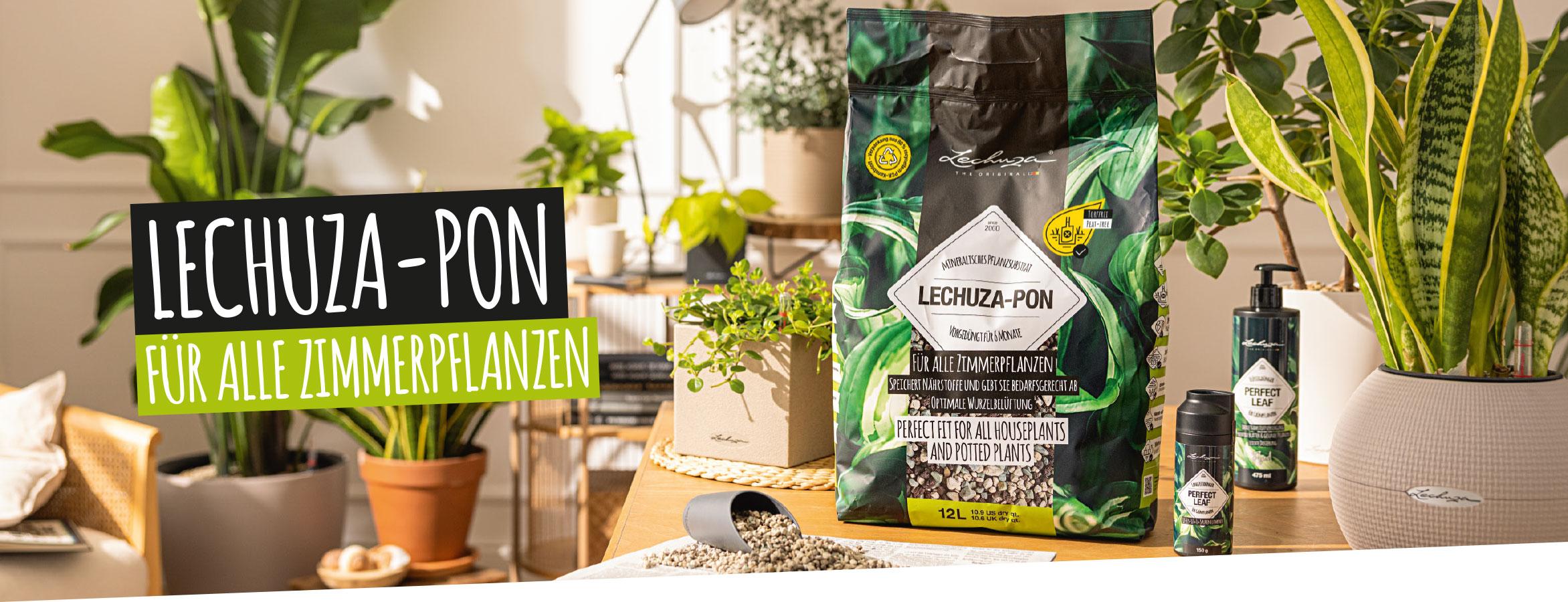 LECHUZA-PON f&uuml;r alle Zimmerpflanzen