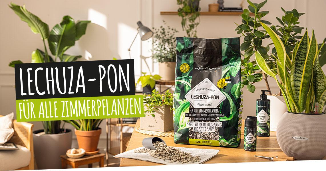 LECHUZA-PON f&uuml;r alle Zimmerpflanzen