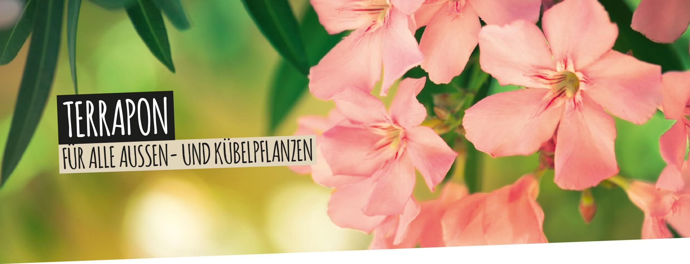TERRAPON: F&uuml;r alle Au&szlig;en- und K&uuml;belpflanzen