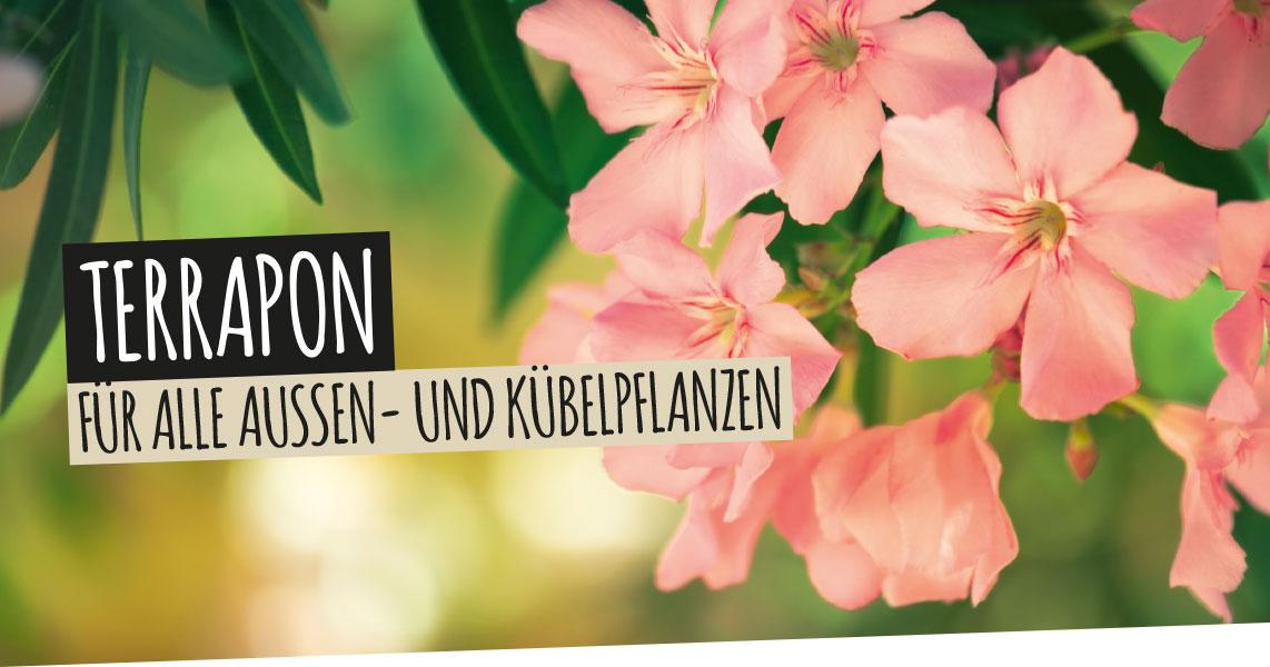 TERRAPON: F&uuml;r alle Au&szlig;en- und K&uuml;belpflanzen