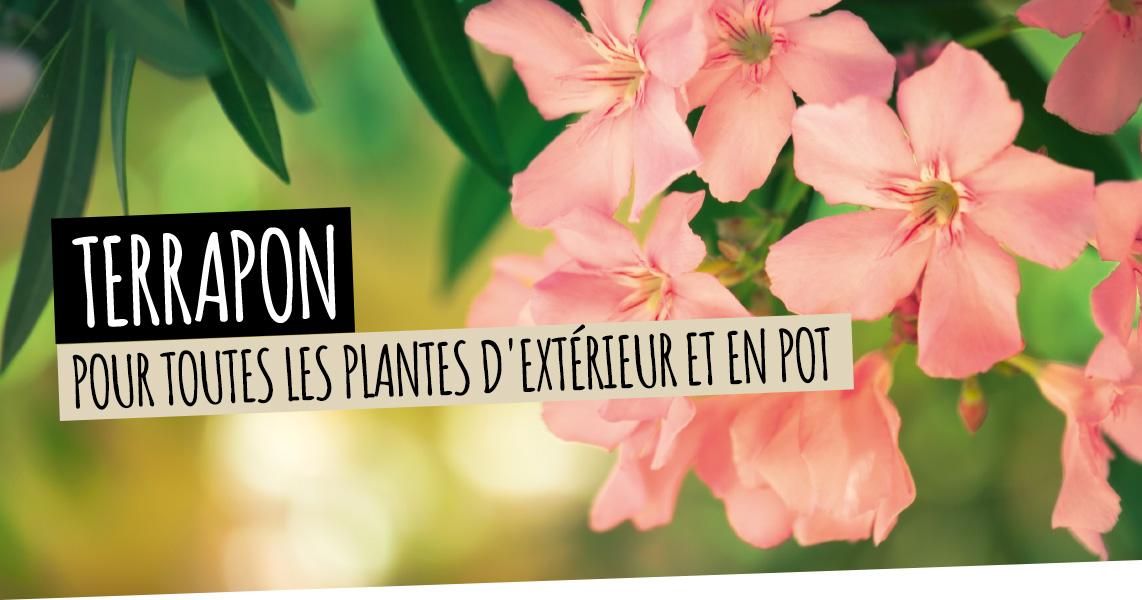 TERRAPON: Pour toutes les plantes d'ext&eacute;rieur et en pot
