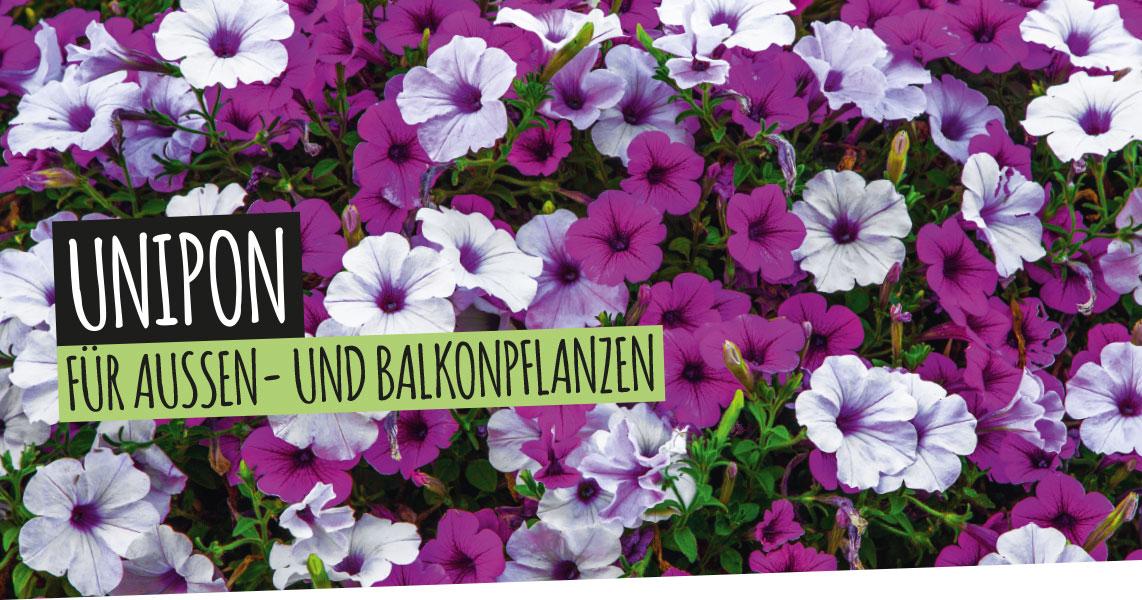 UNIPON: Für Außen- und Balkonpflanzen