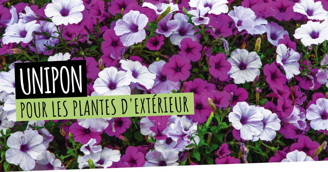 UNIPON: Pour les plantes d'ext&eacute;rieur et de balcon