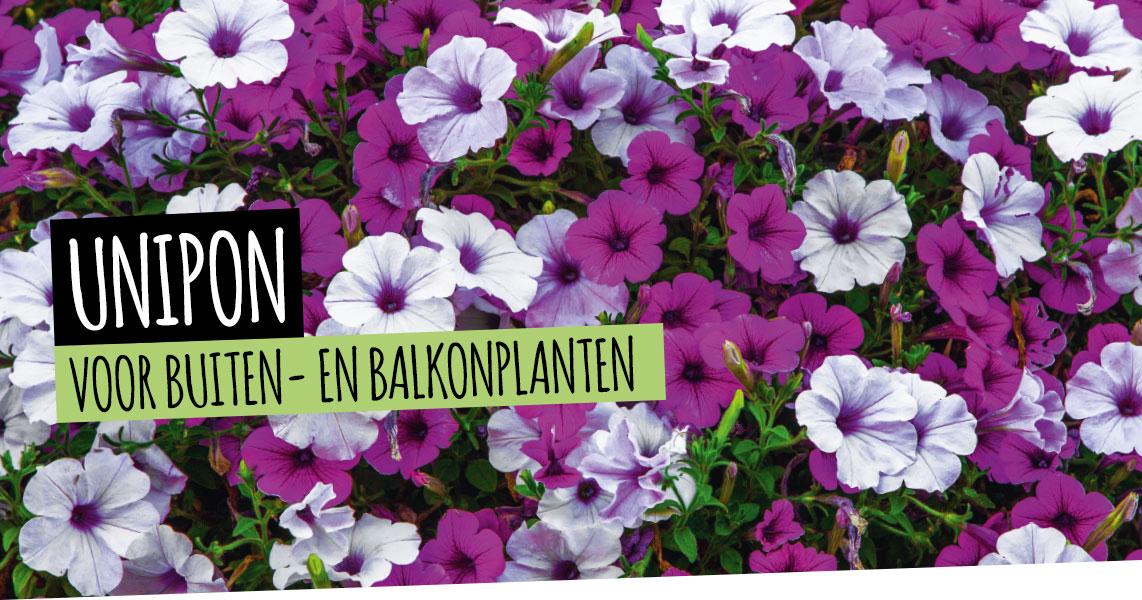 UNIPON: Voor buiten- en balkonplanten
