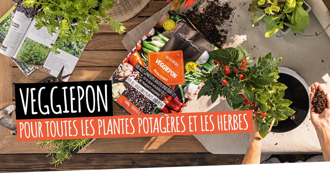 VEGGIEPON: Pour toutes les plantes potag&egrave;res et les herbes aromatiques
