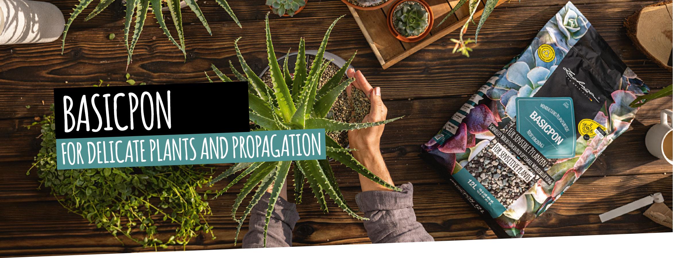 BASICPON: For sensitive plants and cultivation