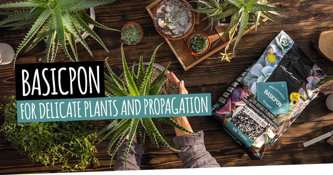 BASICPON: For delicate plants and propagation