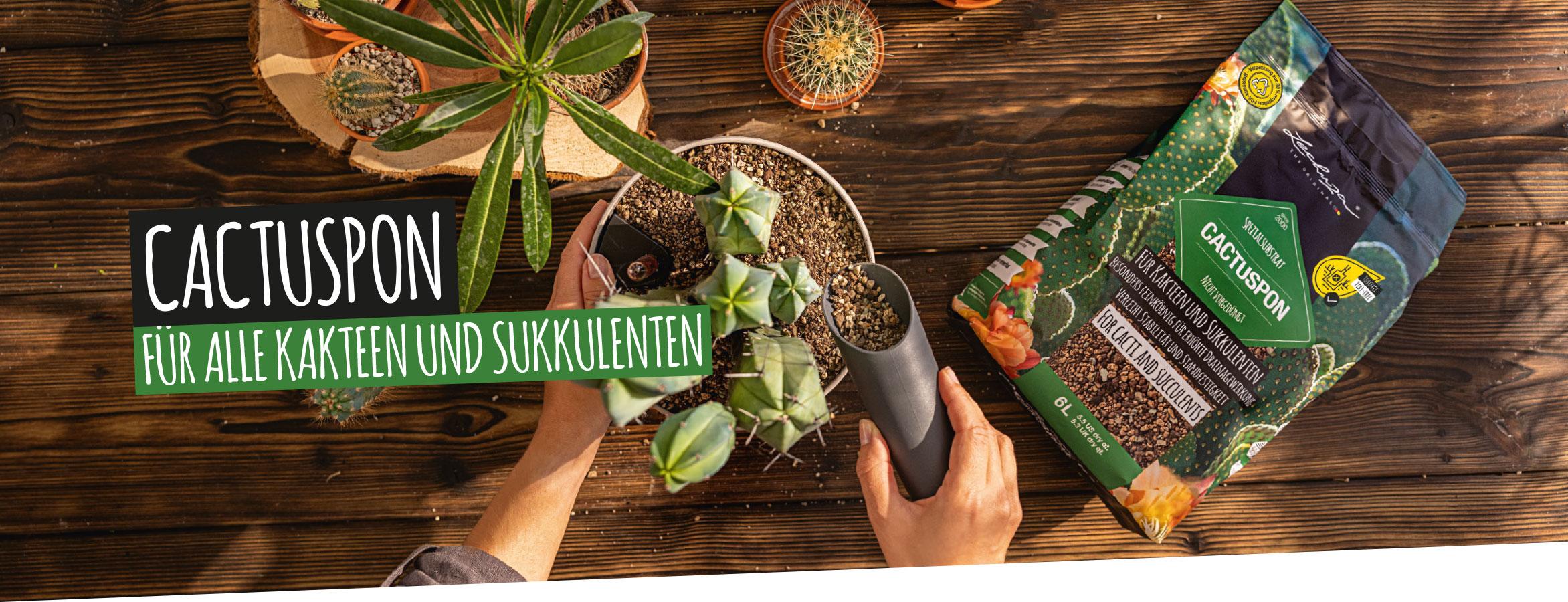 CACTUSPON: F&uuml;r alle Kakteen und Sukkulenten