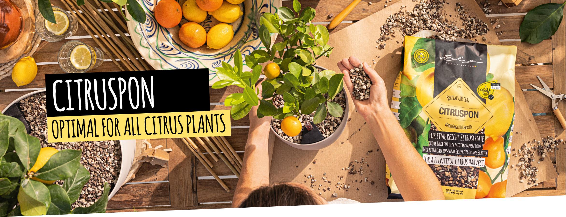 CITRUSPON: Optimal for all citrus plants