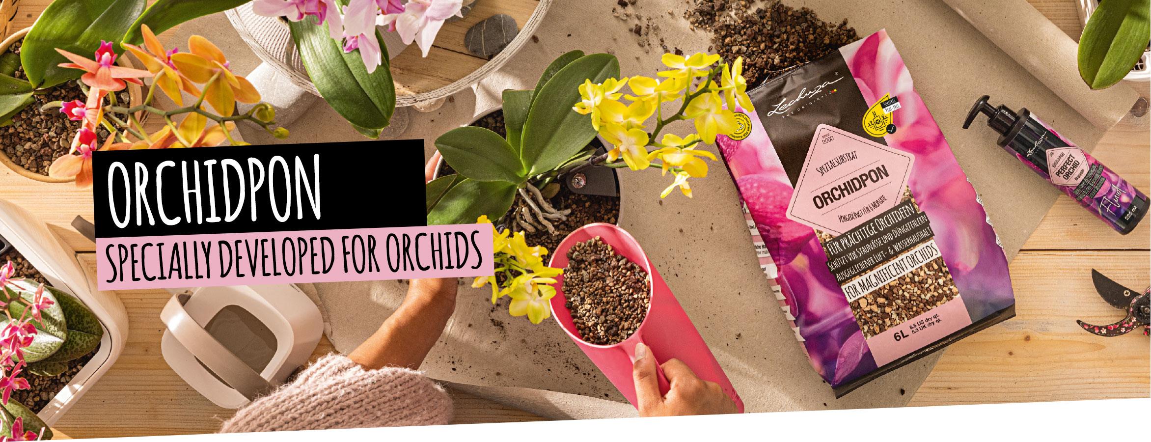 ORCHIDPON: Specially developed for orchids