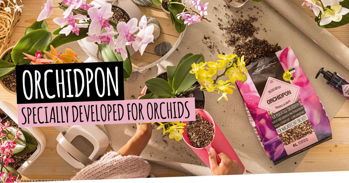 ORCHIDPON: Specially developed for orchids