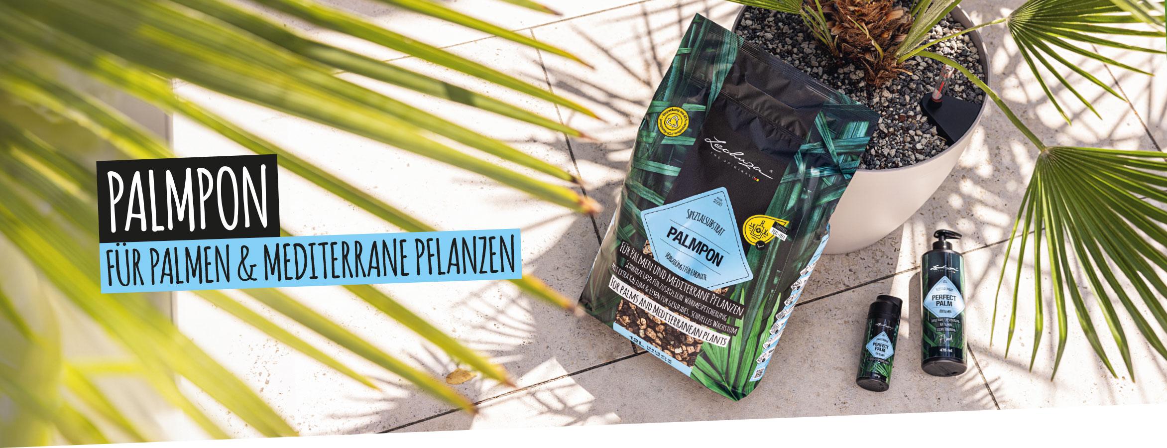 PALMPON: 
    Für Palmen und mediterrane Pflanzen