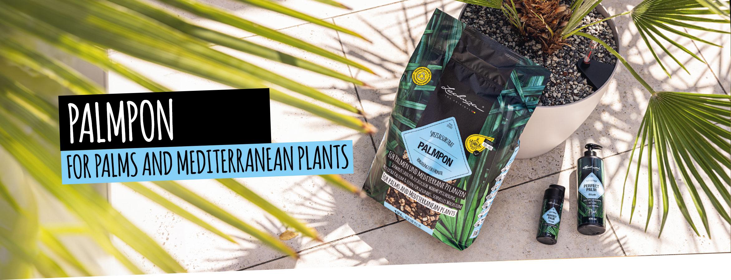 PALMPON: 
    For palms and Mediterranean plants