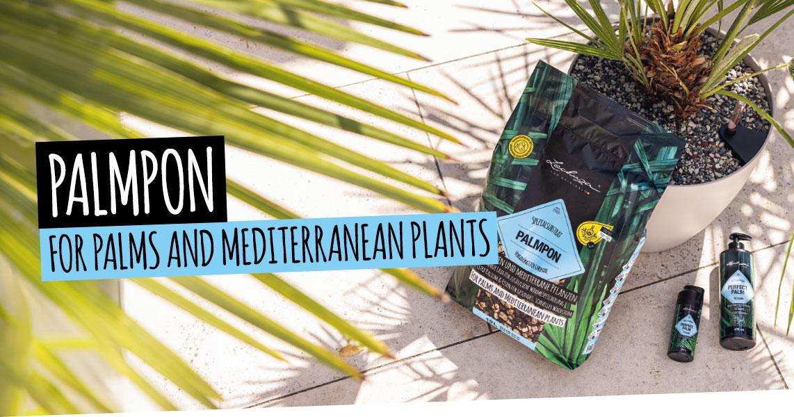 PALMPON: 
	For palms and Mediterranean plants