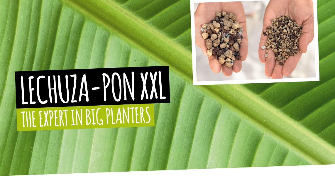 LECHUZA-PON XXL: The expert in big planters
