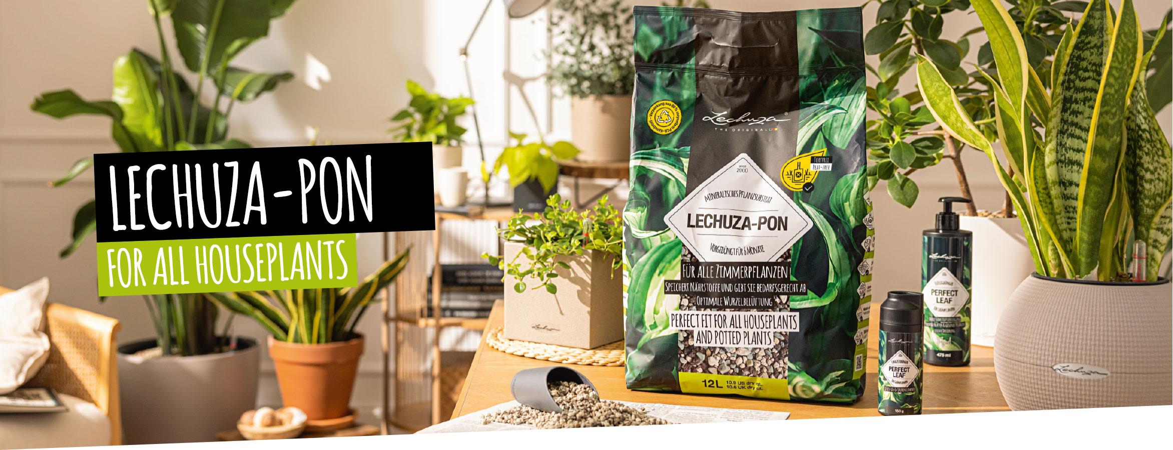 LECHUZA-PON for all houseplants