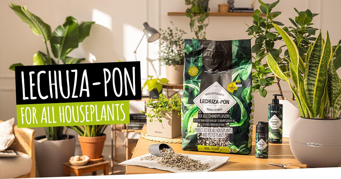 LECHUZA-PON for all houseplants