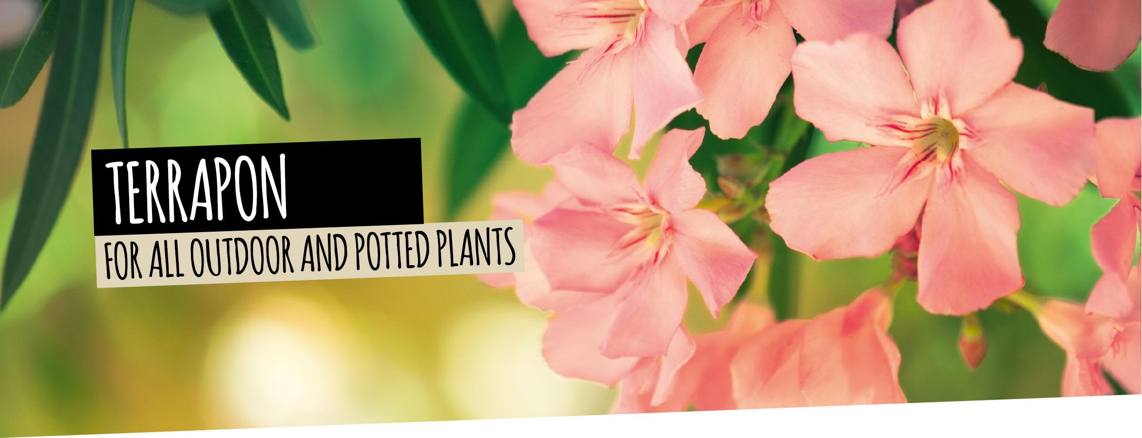 TERRAPON: For all outdoor and potted plants
