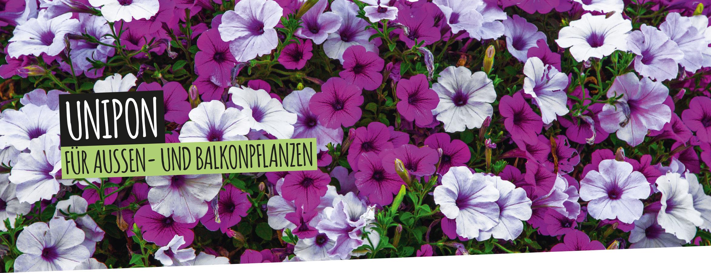 UNIPON: F&uuml;r Au&szlig;en- und Balkonpflanzen