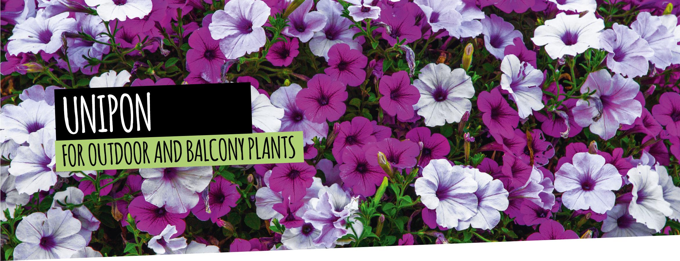 UNIPON: For outdoor and balcony plants