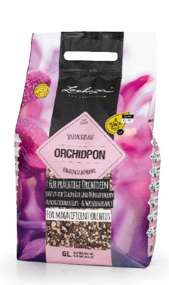 ORCHIDPON