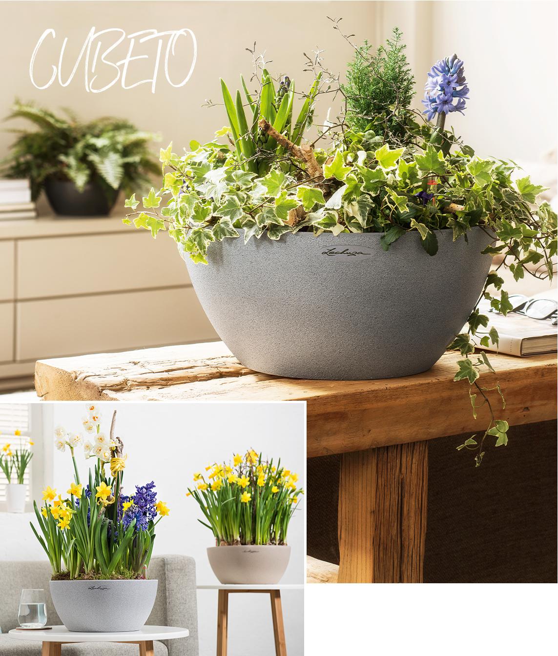 Grey stone-look planter planted with lovely early bloomers such as daffodil and hyacinth