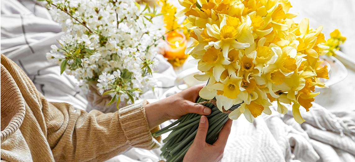 Woman holds a bouquet of yellow daffodils in her hands